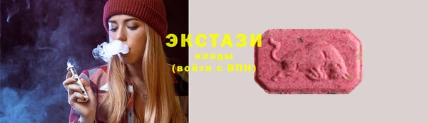 прущие крисы Вяземский