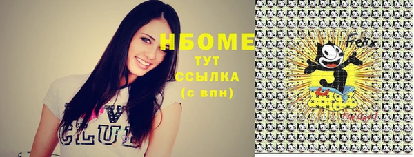 гашик Вязьма
