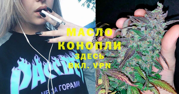 гашик Вязьма