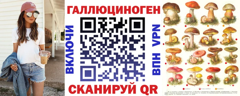 закладки  Норильск  Псилоцибиновые грибы GOLDEN TEACHER 