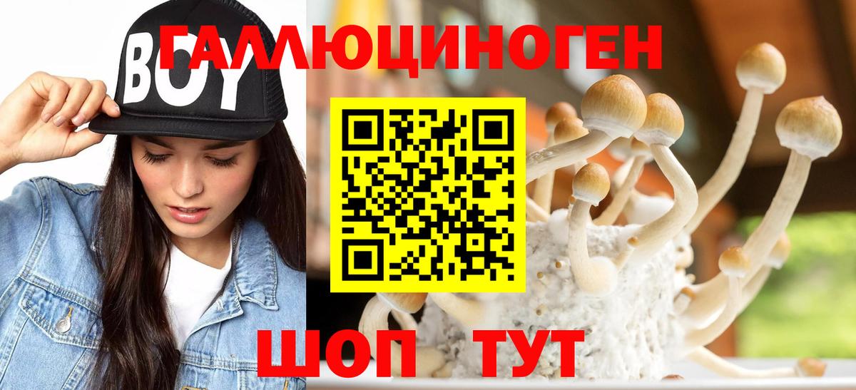 Псилоцибиновые грибы ЛСД Норильск