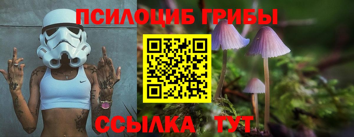 Псилоцибиновые грибы мухоморы  Вход с VPN  Галлюциногенные грибы Psilocybe  Норильск 