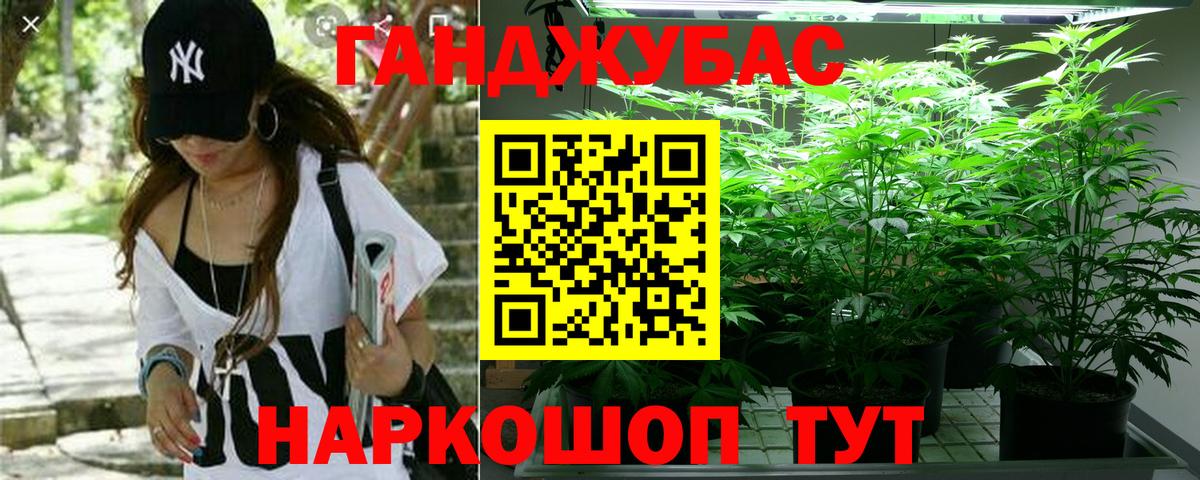 Канабис индика  Вход с VPN  Норильск  Канабис SATIVA & INDICA  Бошки марихуана конопля 